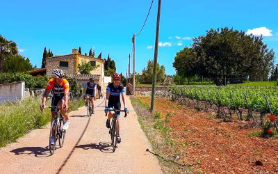 Majorque à vélo