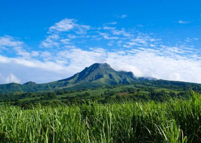 Martinique en formule active