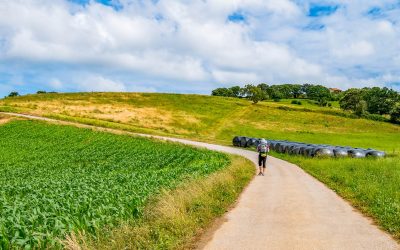 Le Chemin de Compostelle