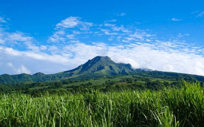 Martinique en formule active