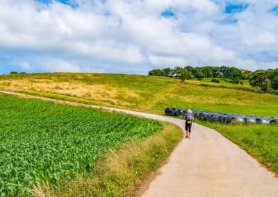 Le Chemin de Compostelle