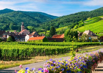 Randonnées pédestres en Alsace