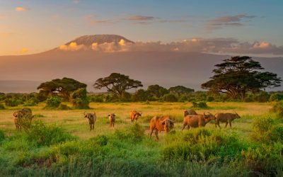 Tanzanie en formule active accompagné par Bougex