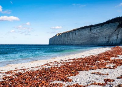 Nature et photographie à l&rsquo;Île d&rsquo;Anticosti: Patrimoine mondial de l&rsquo;UNESCO